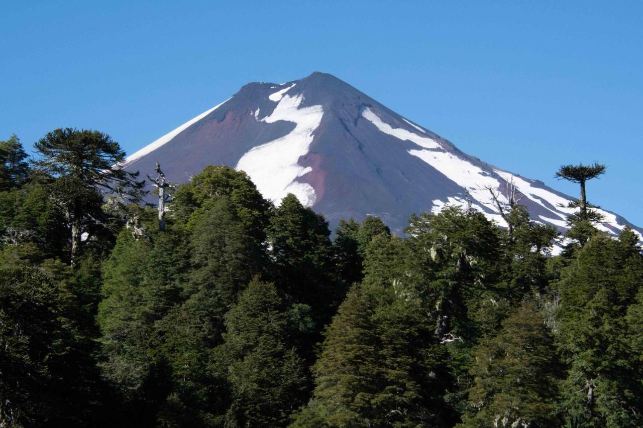 Fio-fio National Park Chalet Conguillio