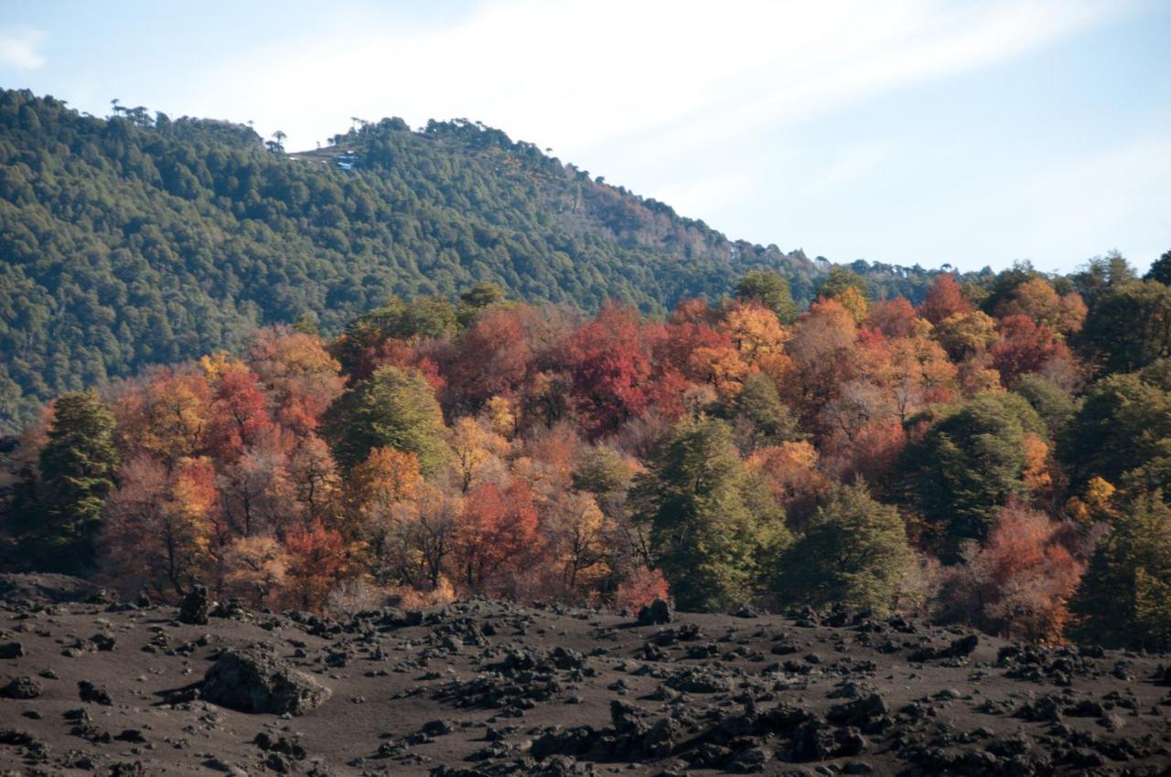 Chalet Fio-fio National Park *